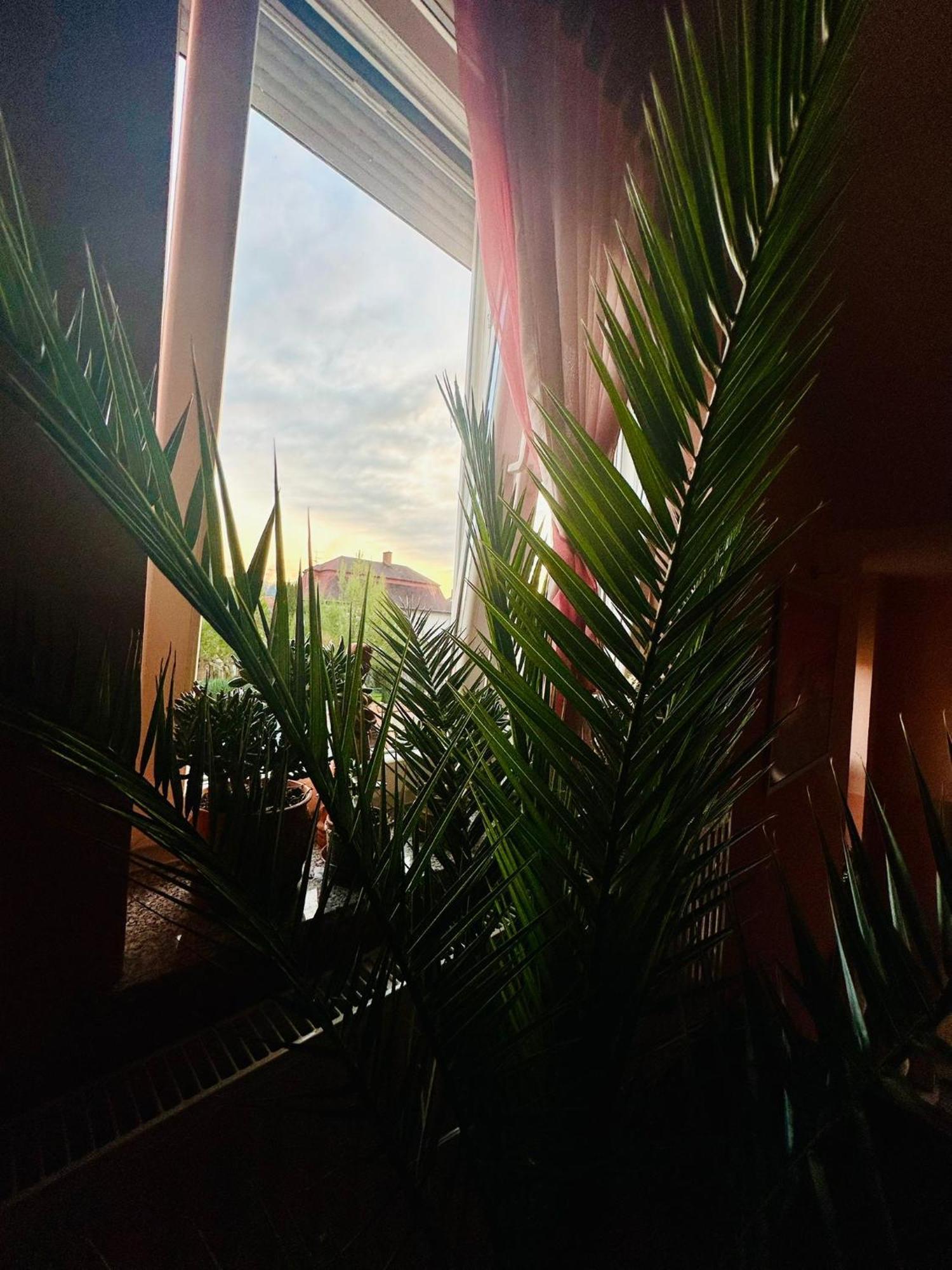 La Villa Pergola Szentgotthárd Εξωτερικό φωτογραφία